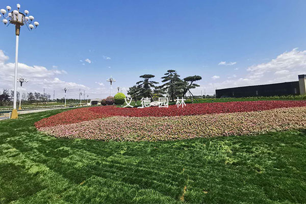 迎接全省中藥產業(yè)發(fā)展大會環(huán)境整